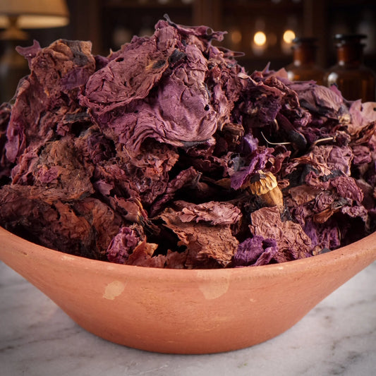 Klatschmohnblüten, sortenreines Räucherwerk von Berk, 15 g: Nahaufnahme der Terracottaschale mit dunkelvioletten getrockneten Klatschmohnblüten vor der warmen, unscharfen Abendapotheke – Spirit of Gaia