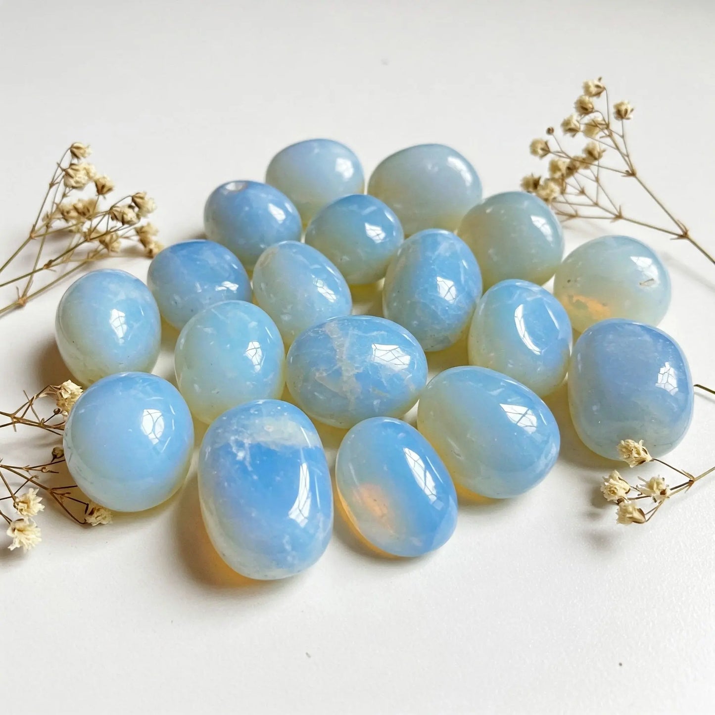 Opalith | Spirit of Gaia