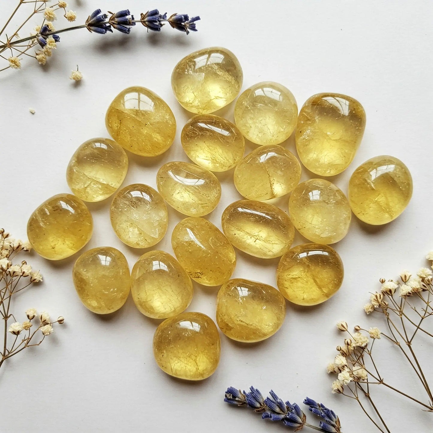 Citrin | Spirit of Gaia