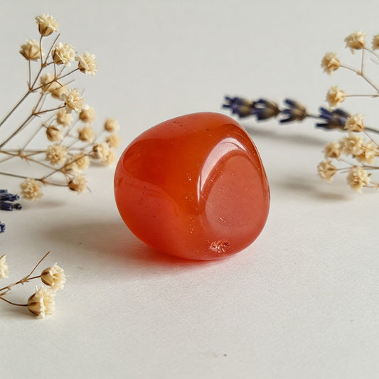 Karneol | Spirit of Gaia