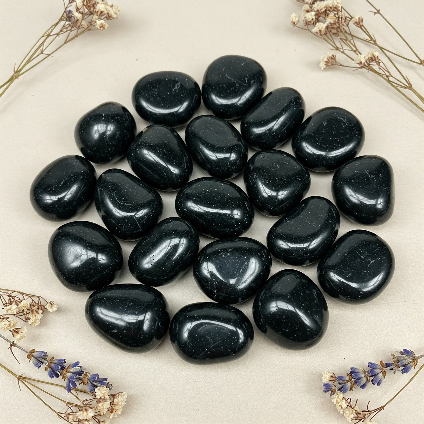 Shungit | Spirit of Gaia