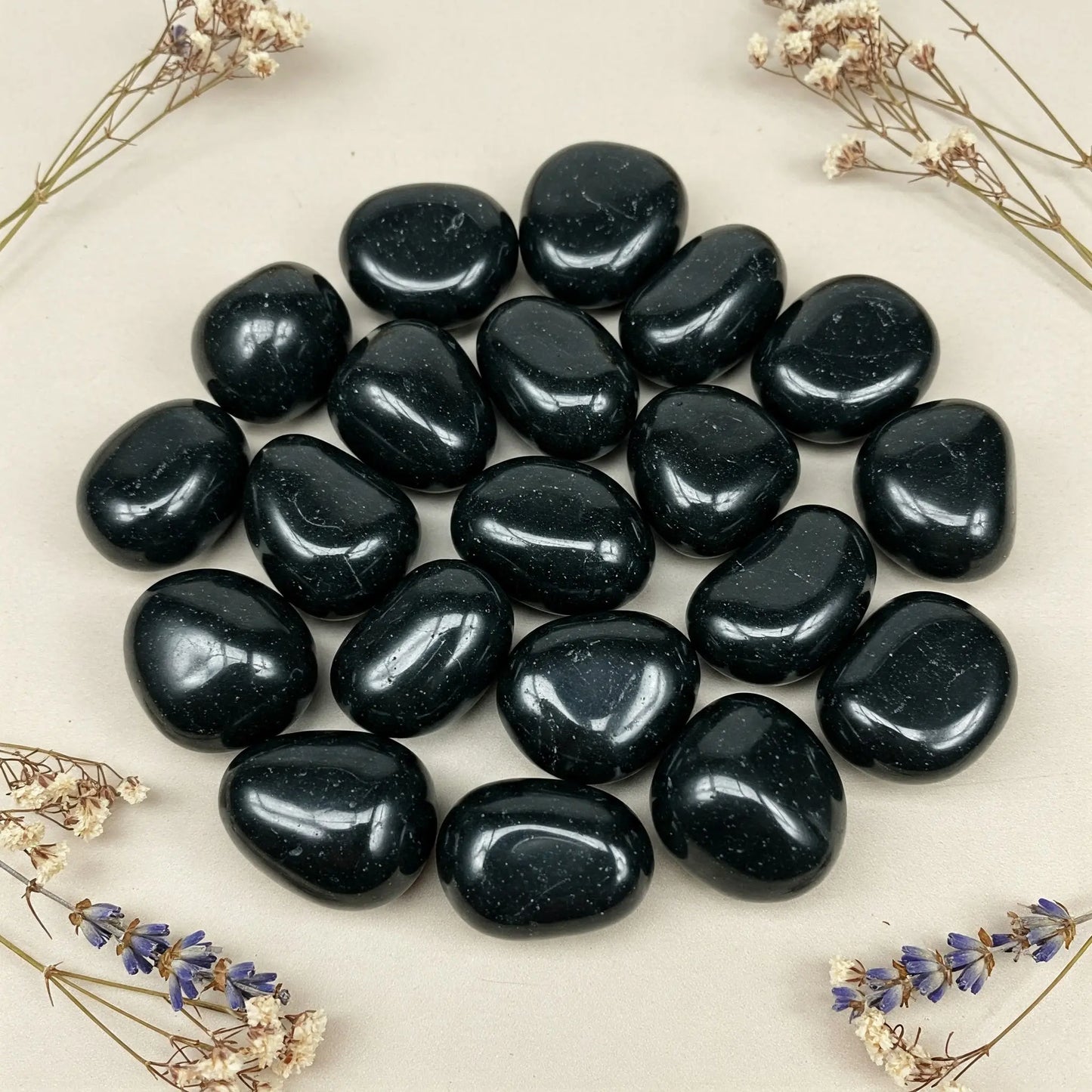 Shungit | Spirit of Gaia