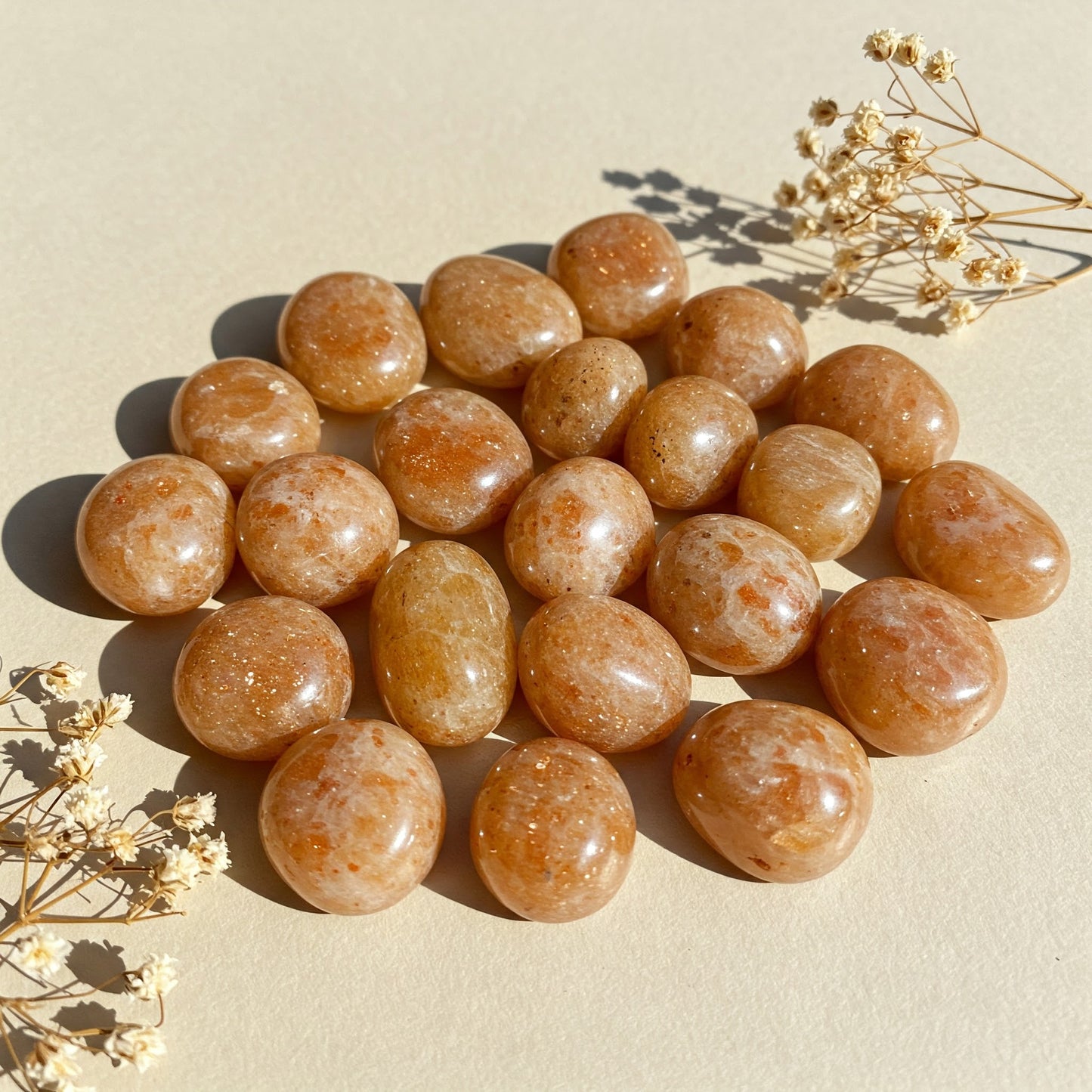 Sonnenstein | Spirit of Gaia