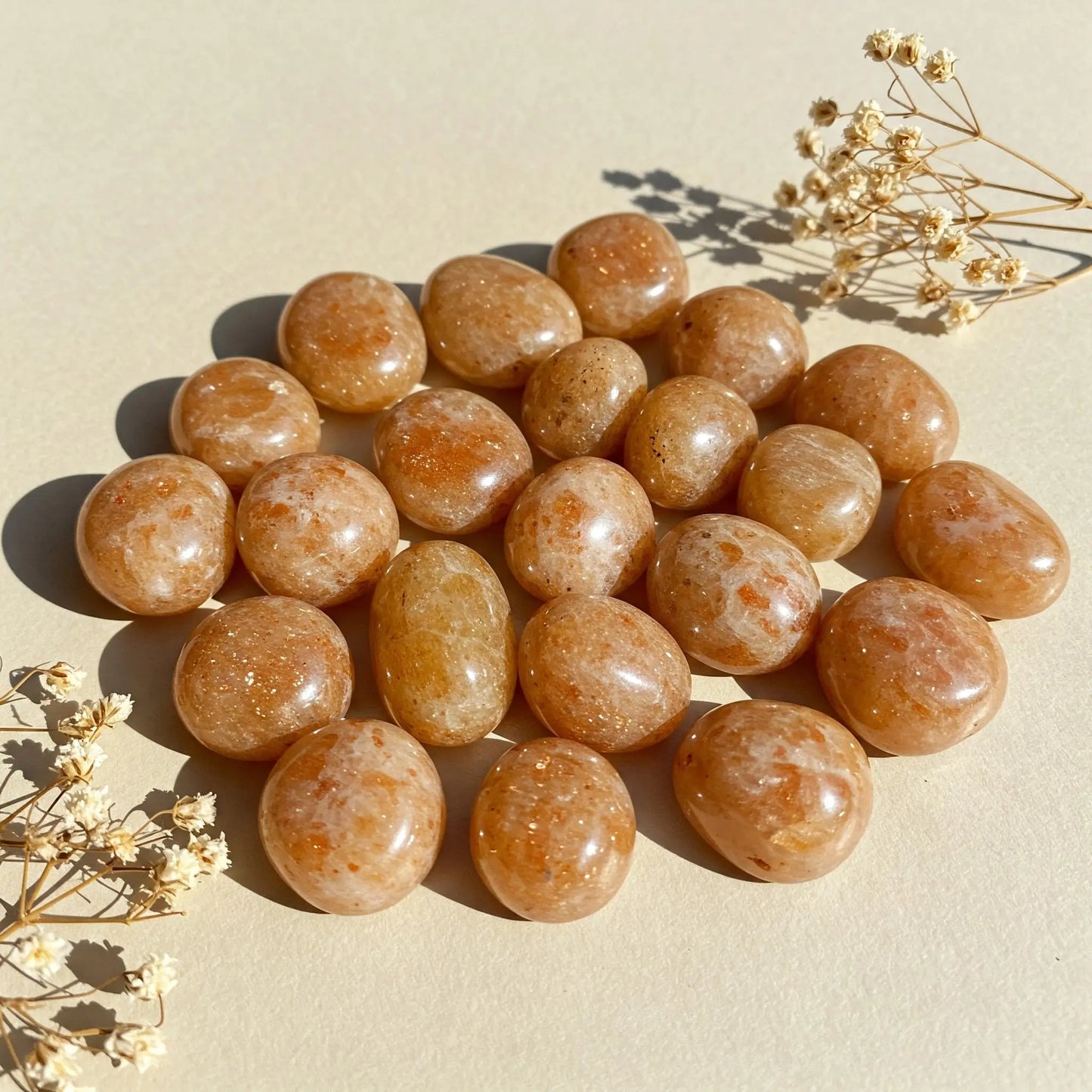 Sonnenstein | Spirit of Gaia