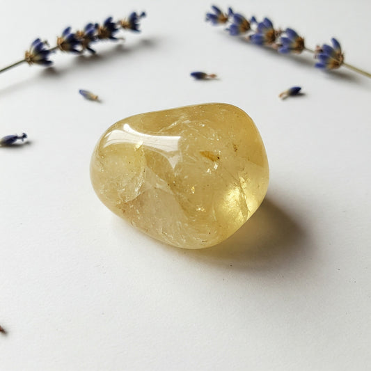 Citrin | Spirit of Gaia