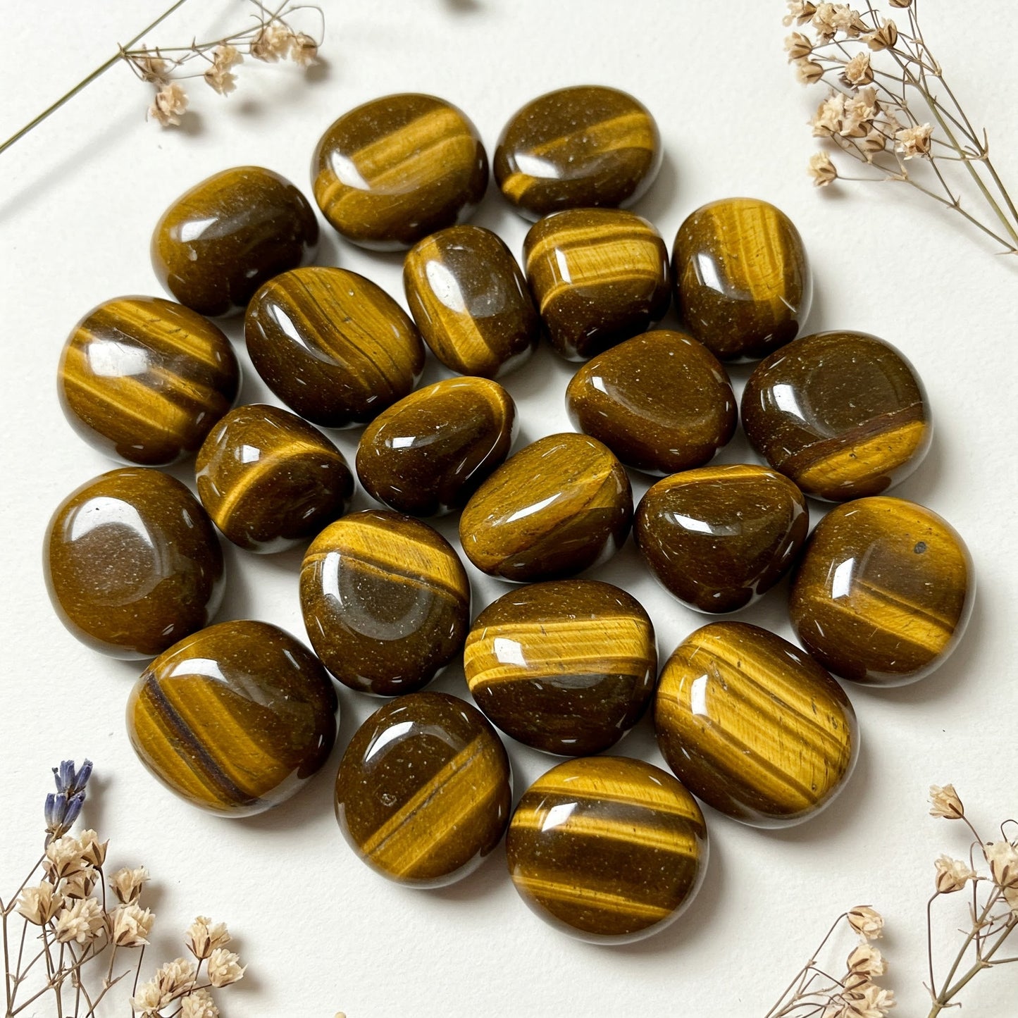 Tigerauge | Spirit of Gaia