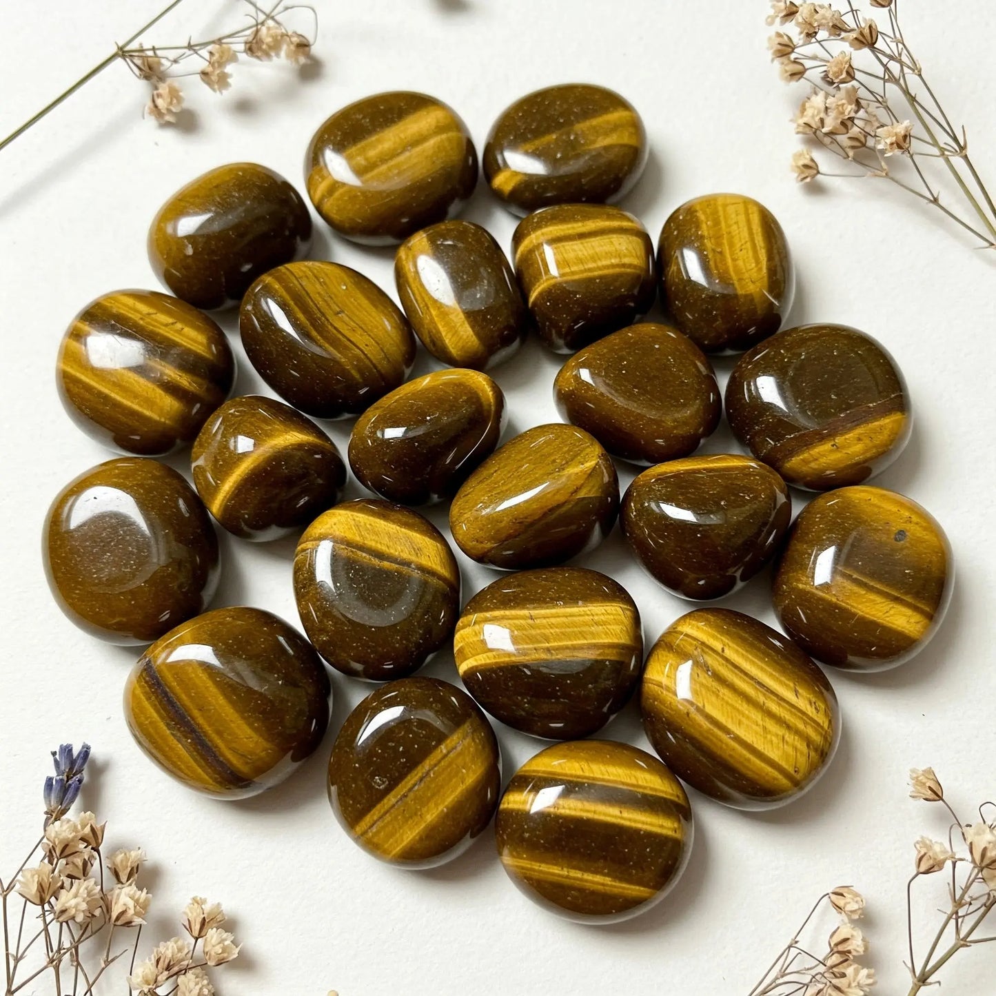 Tigerauge | Spirit of Gaia