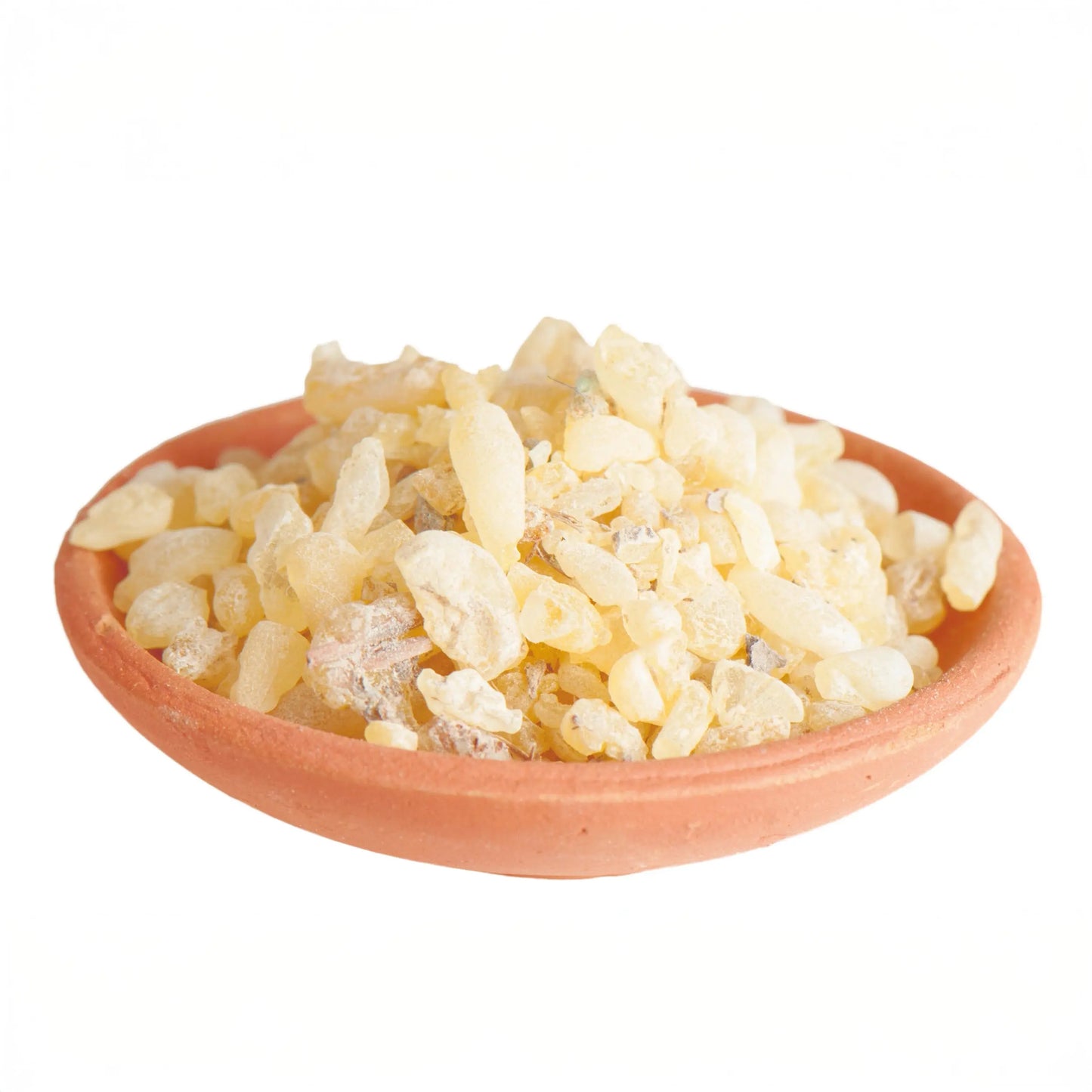 Sandarak marokkanisch - Spirit of Gaia