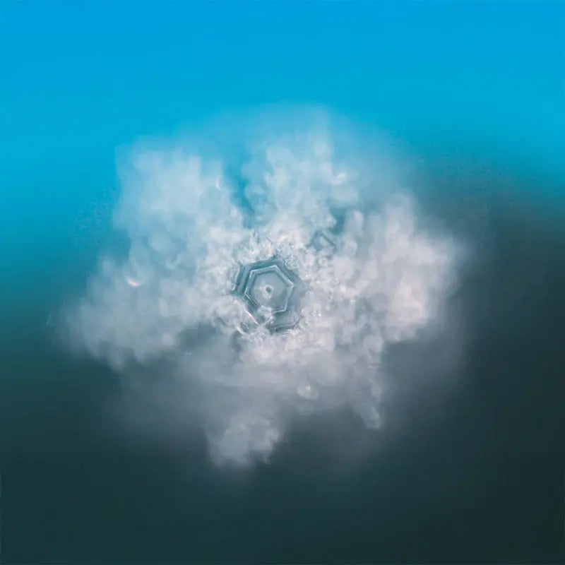 Türkise Essenz (50ml) | SeelenTor | Freiheit & Seelenplan Berk