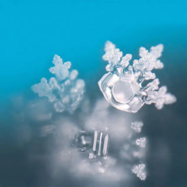 Weiße Essenz (50ml) | SeelenTor | Achtsamkeit & innere Weisheit Berk