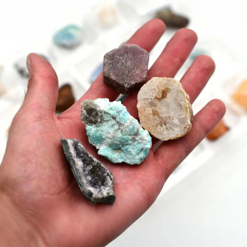 Adventskalender "Amethyst Forest" | Fossilien, Rohsteine & Trommelsteine Spirit of Gaia