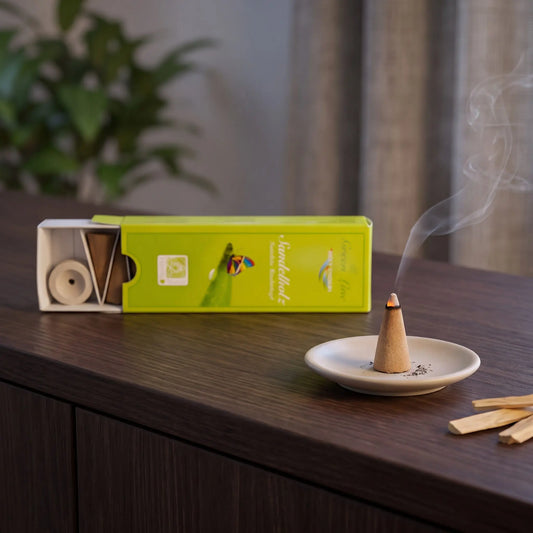 Sandelholz Räucherkegel naturrein, Holy Smokes Green Line: glimmender Räucherkegel mit feinem Rauch auf einem Keramiktellerchen, dahinter die geöffnete Packung, auf einem Sideboard am Abend