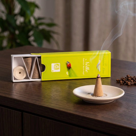 Nelke Räucherkegel naturrein, Holy Smokes Green Line: glimmender Räucherkegel mit feinem Rauch auf einem Keramiktellerchen, dahinter die geöffnete Packung, auf einem Sideboard am Abend