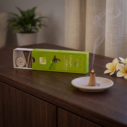 Champa-Blüten Räucherkegel naturrein, Holy Smokes Green Line: glimmender Räucherkegel mit feinem Rauch auf einem Keramiktellerchen, dahinter die geöffnete Packung, auf einem Sideboard am Abend