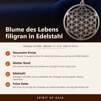 Übersicht zum Blume des Lebens Anhänger: Edelstahl, 3 cm, neunzehn Kreise, Kette 45 bis 50 cm