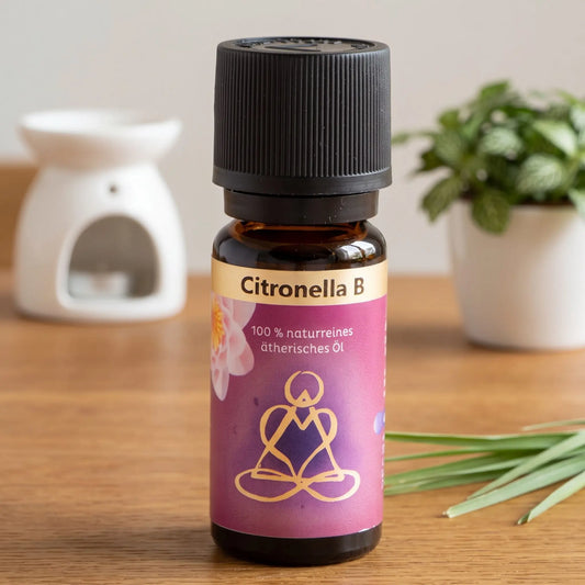 Ätherisches Öl Citronella: Fläschchen auf einem Holz-Sideboard im Wohnzimmer, im Hintergrund eine weiße Duftlampe, daneben Citronellagras