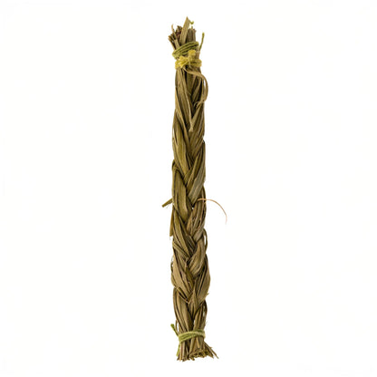 Sweetgrass Zopf (10cm) | Original Süßgras für Segen & positive Energie Spirit of Gaia