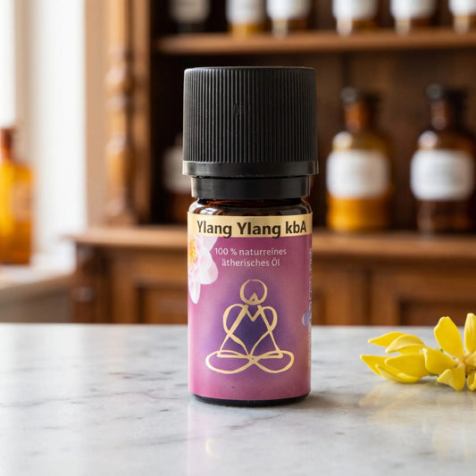Ätherisches Öl Ylang Ylang: Fläschchen aus Braunglas auf Marmortheke vor Apothekerschrank, daneben Ylang-Ylang-Blüten – Spirit of Gaia