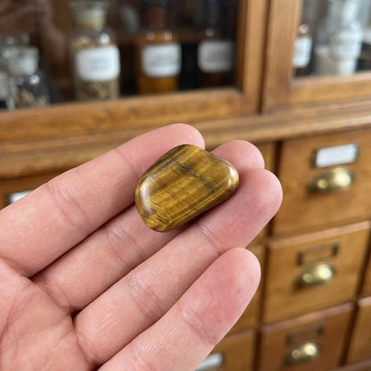 Tigerauge Trommelstein – Größenvergleich in der Hand, ca. 2–3 cm