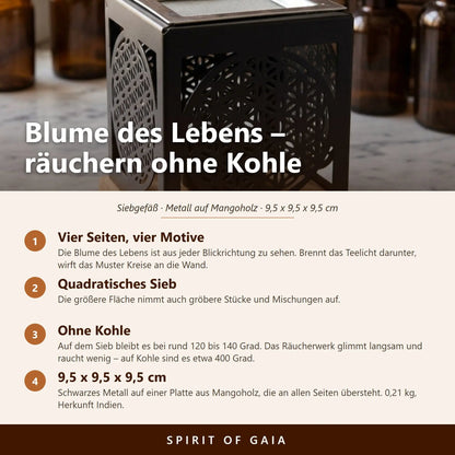 Infografik zum würfelförmigen Siebgefäß Blume des Lebens mit vier Punkten zu Motiv, Sieb, Temperatur und Maßen