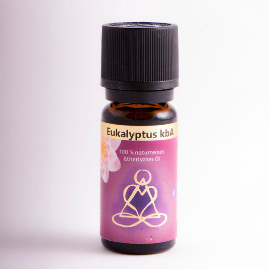 Eukalyptus – Ätherisches Öl, 10 ml | Konzentration & Frische (kbA
