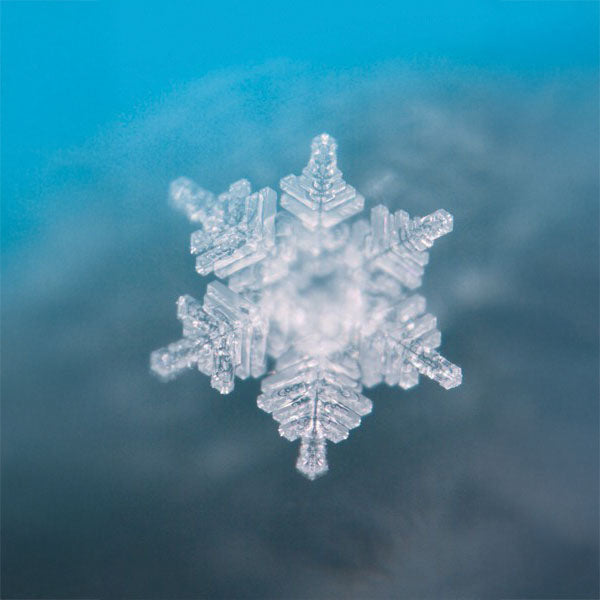 Türkise Essenz (50ml) | SeelenTor | Freiheit & Seelenplan Berk