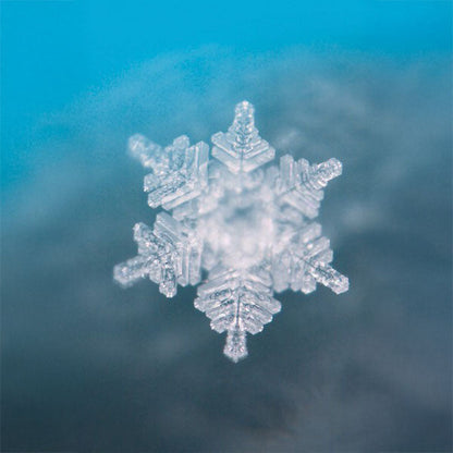 Rosa Essenz (50ml) | SeelenTor | Herzöffnung & Bedingungslose Liebe Berk