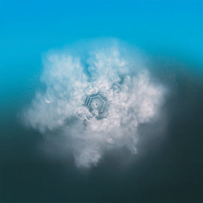 Goldene Essenz (50ml) | SeelenTor | Goldener Schutz & Urvertrauen Berk