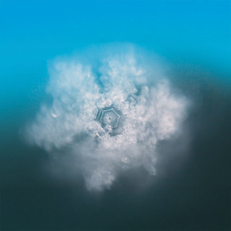 Türkise Essenz (50ml) | SeelenTor | Freiheit & Seelenplan Berk