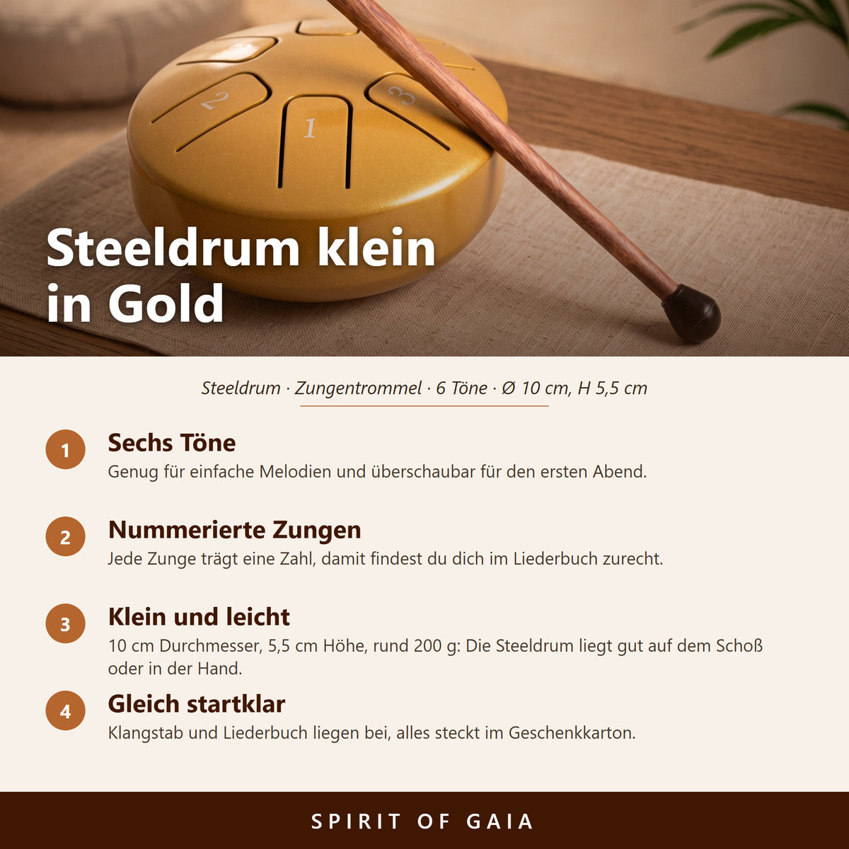 Übersicht zur kleinen goldenen Steeldrum: sechs Töne, Maße, Zubehör und Klangstab