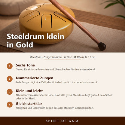 Übersicht zur kleinen goldenen Steeldrum: sechs Töne, Maße, Zubehör und Klangstab
