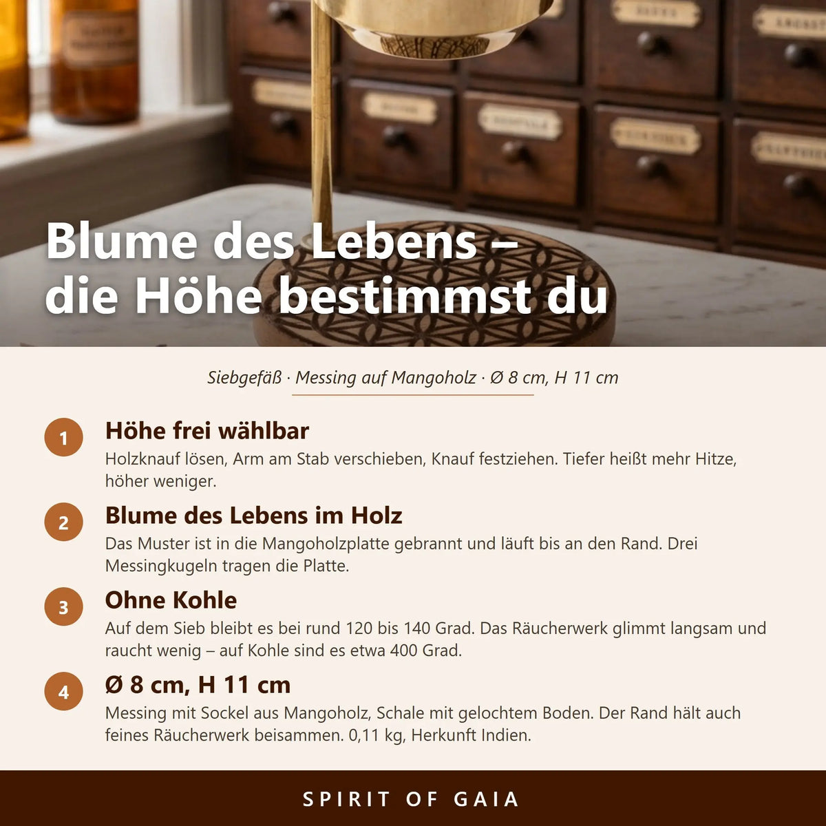 Infografik zum Siebgefäß Blume des Lebens mit vier Punkten zu Höhenverstellung, Motiv, Temperatur und Maßen