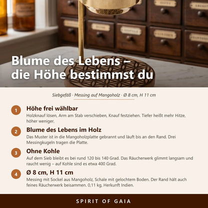 Infografik zum Siebgefäß Blume des Lebens mit vier Punkten zu Höhenverstellung, Motiv, Temperatur und Maßen