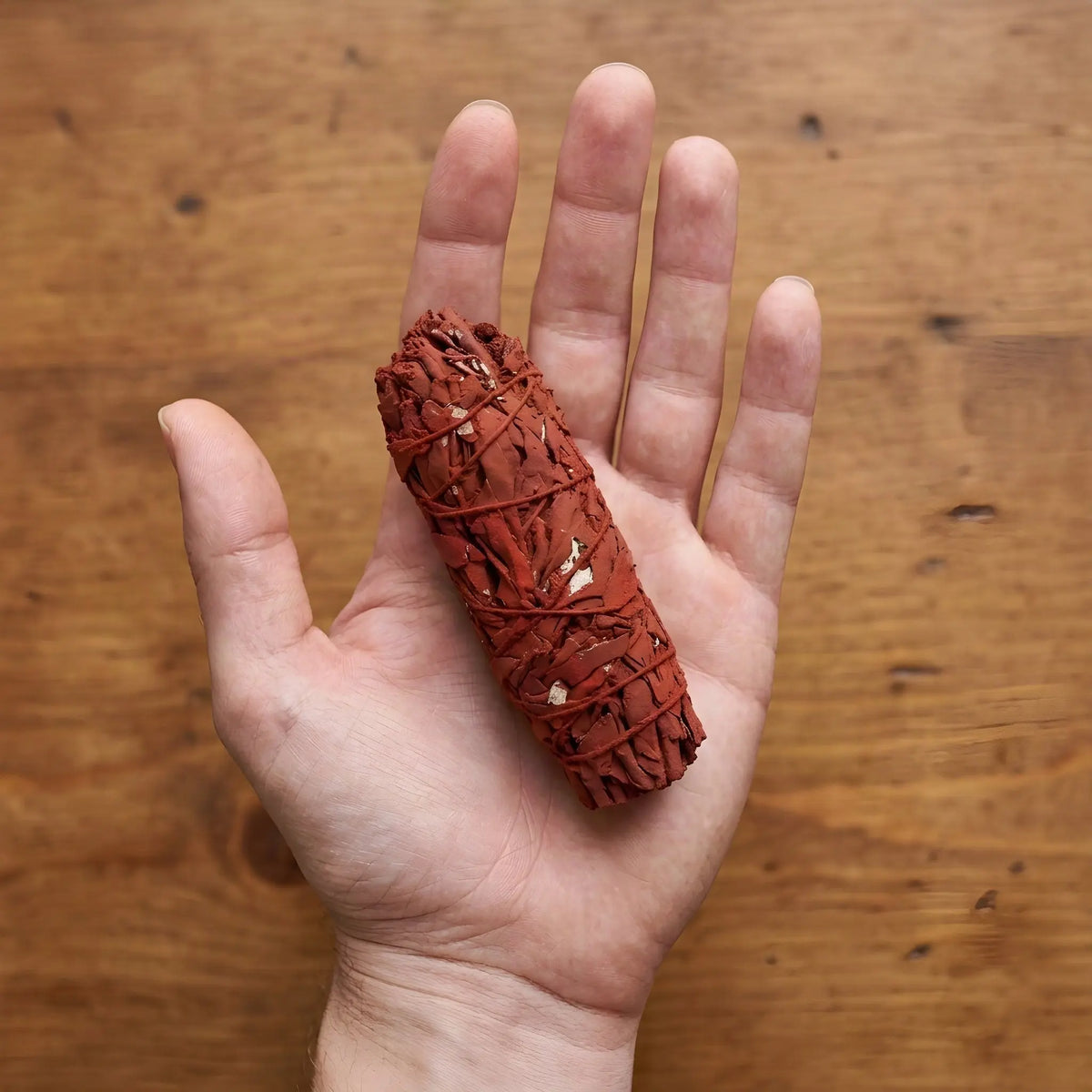Salbeibündel mit Drachenblut auf einer offenen Handfläche als Größenvergleich