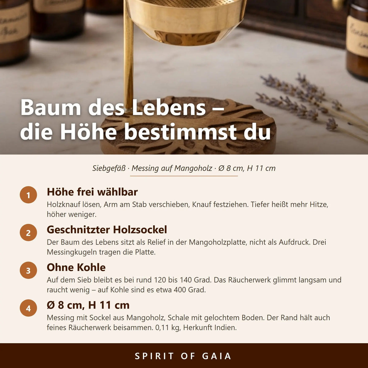 Infografik zum Siebgefäß Baum des Lebens mit vier Punkten zu Höhenverstellung, Sockel, Temperatur und Maßen