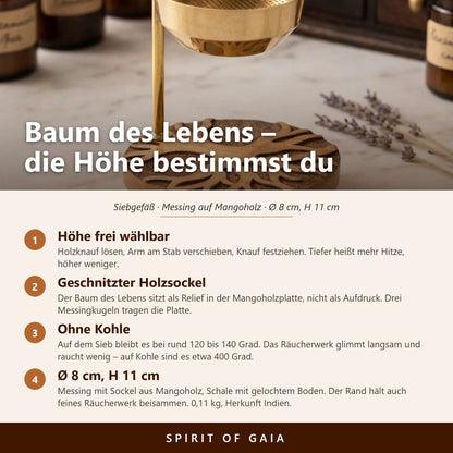 Infografik zum Siebgefäß Baum des Lebens mit vier Punkten zu Höhenverstellung, Sockel, Temperatur und Maßen