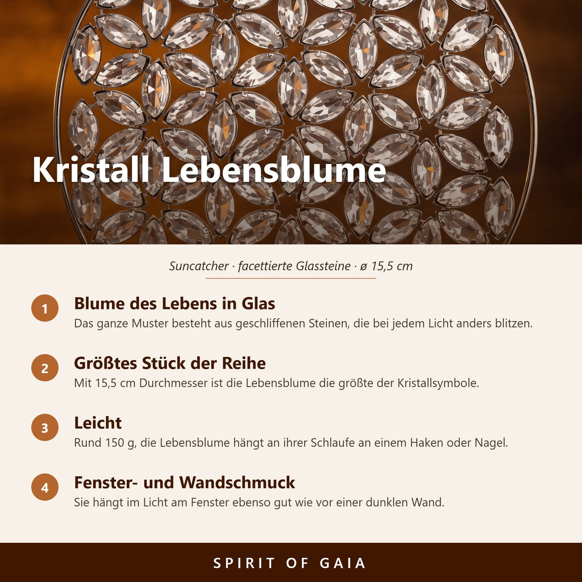 Übersicht zur Kristall Lebensblume: Blume des Lebens aus Glassteinen, silberner Stahl, ø 15,5 cm, mit Schlaufe zum Aufhängen