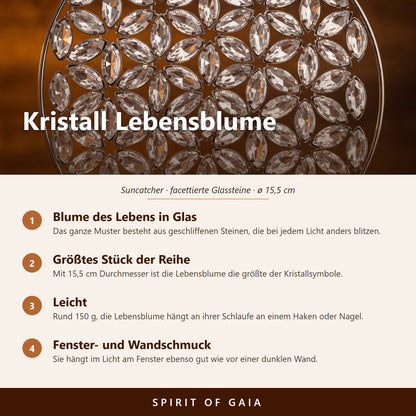 Übersicht zur Kristall Lebensblume: Blume des Lebens aus Glassteinen, silberner Stahl, ø 15,5 cm, mit Schlaufe zum Aufhängen