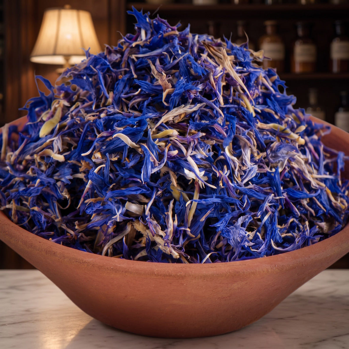 Leuchtend blaue Kornblumenblüten aus der Nähe in einer Terracottaschale