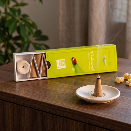 Weihrauch Räucherkegel naturrein, Holy Smokes Green Line: glimmender Räucherkegel mit feinem Rauch auf einem Keramiktellerchen, dahinter die geöffnete Packung, auf einem Sideboard am Abend