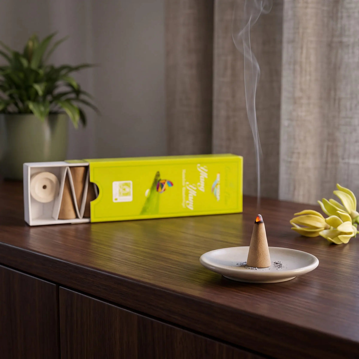Ylang Ylang Räucherkegel naturrein, Holy Smokes Green Line: glimmender Räucherkegel mit feinem Rauch auf einem Keramiktellerchen, dahinter die geöffnete Packung, auf einem Sideboard am Abend