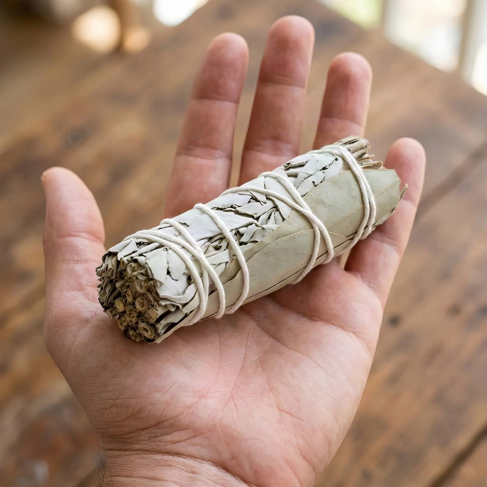 Salbeibündel mit Eukalyptus auf einer offenen Handfläche als Größenvergleich