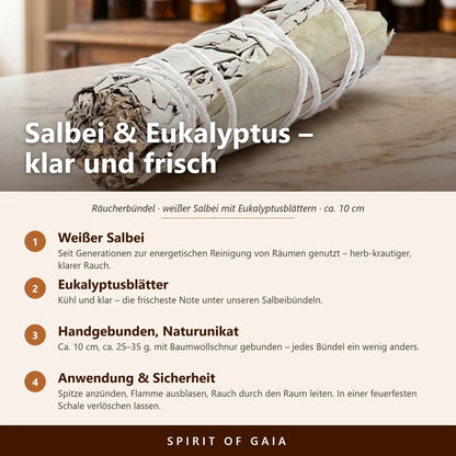 Infografik: Salbei und Eukalyptus – weißer Salbei, Eukalyptusblätter, handgebunden, Anwendung und Sicherheit