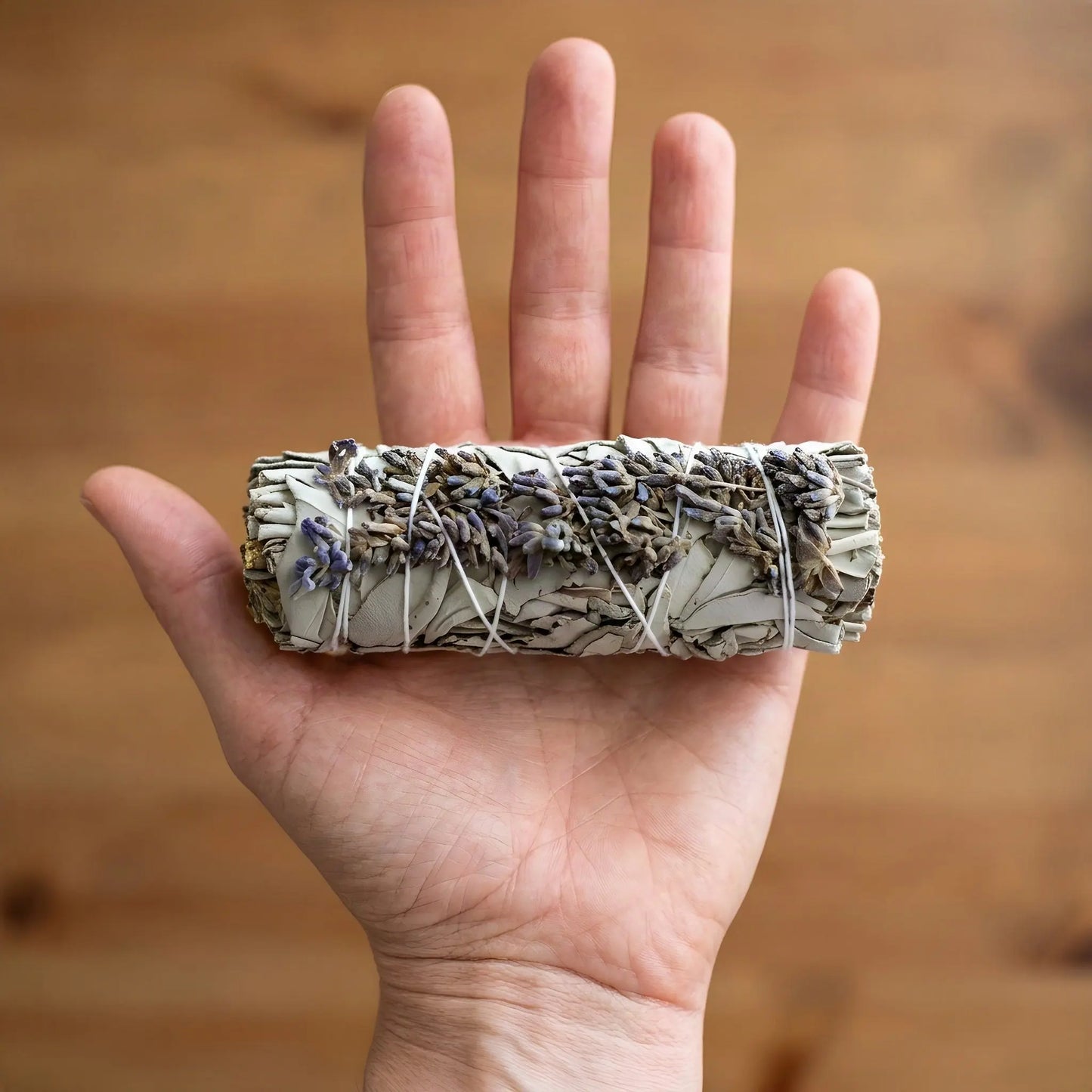 Salbeibündel mit Lavendel auf einer offenen Handfläche als Größenvergleich