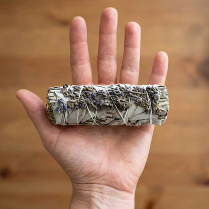 Salbeibündel mit Lavendel auf einer offenen Handfläche als Größenvergleich