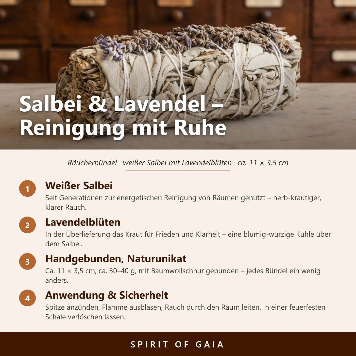 Infografik: Salbei und Lavendel – weißer Salbei, Lavendelblüten, handgebunden, Anwendung und Sicherheit