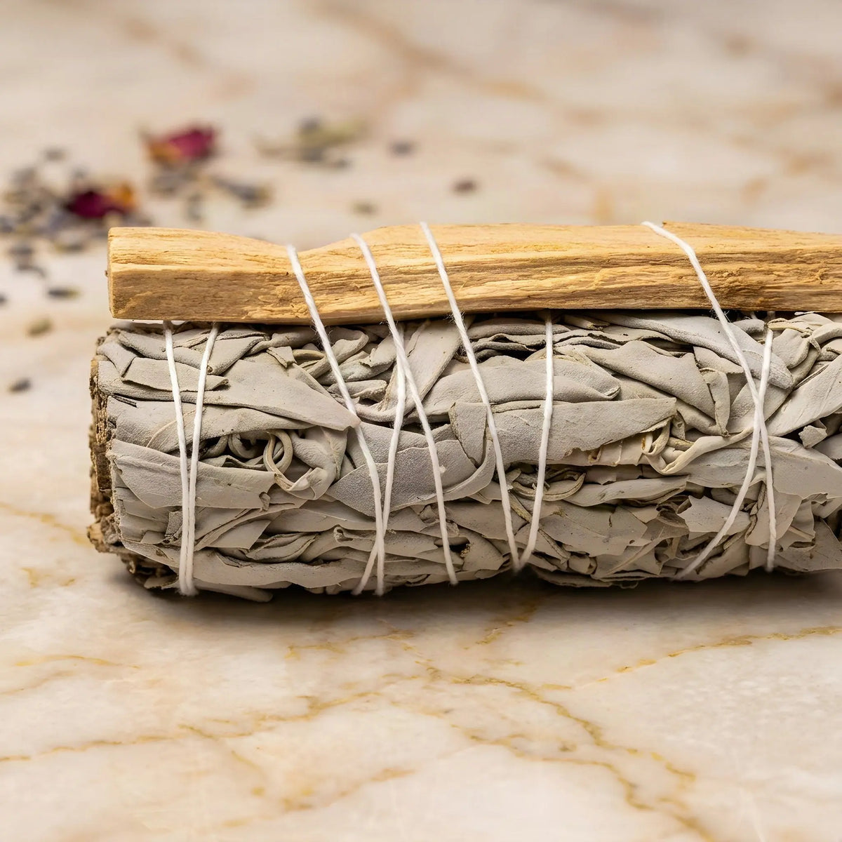 Nahaufnahme des aufgebundenen Palo-Santo-Holzes auf dem weißen Salbeibündel