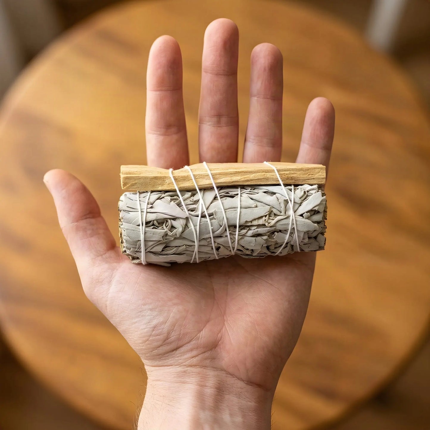 Salbeibündel mit Palo Santo auf einer offenen Handfläche als Größenvergleich