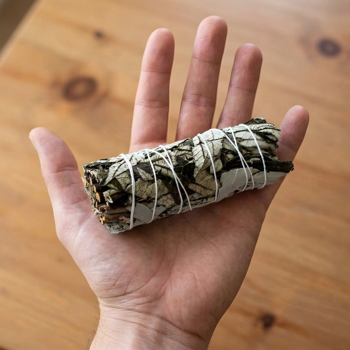 Salbeibündel mit Yerba Santa auf einer offenen Handfläche als Größenvergleich
