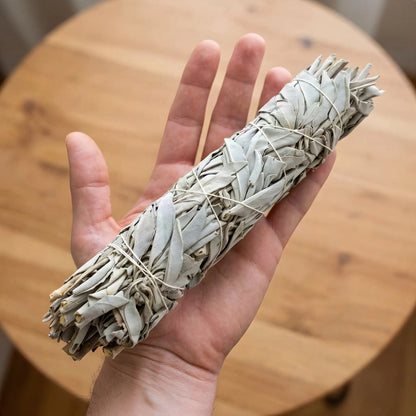 Weißes Salbeibündel XL auf einer offenen Handfläche, deutlich länger als die Hand